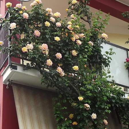 雷纳托酒店