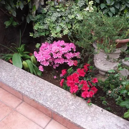 Hotel Renato 3*